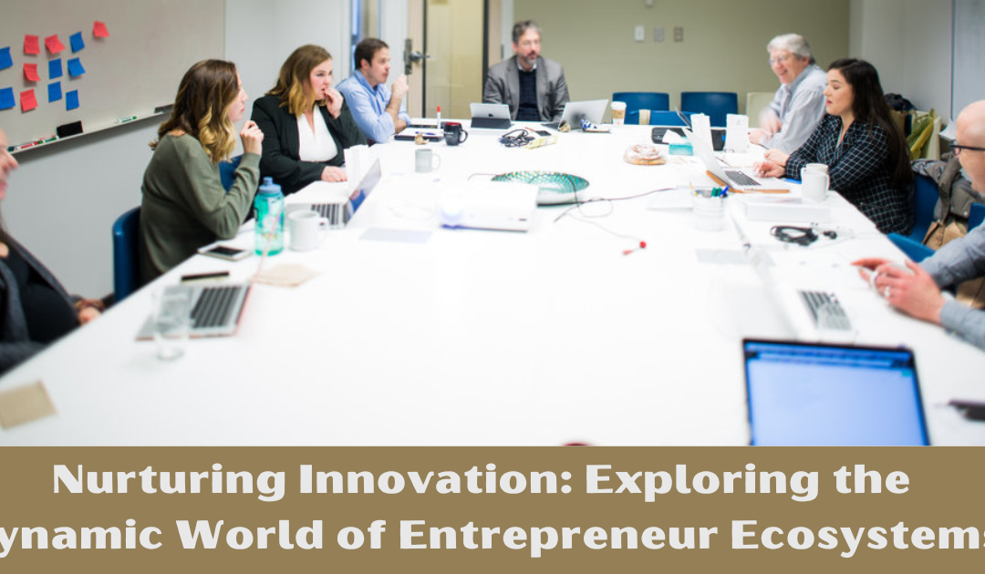 Nurturing Innovation: Exploring the Dynamic World of Entrepreneur Ecosystems